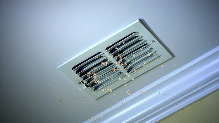 Best Affordable HVAC Duct Cleaning  in Waseca, MN